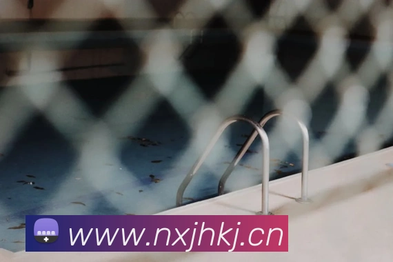 人人体育官网直播发展历程